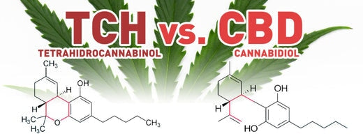 Diferencias entre THC y CBD